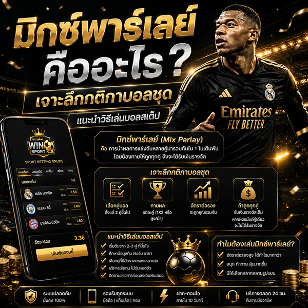 มิกซ์พาร์เลย์คืออะไร